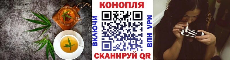 где найти наркотики  Чегем  darknet какой сайт  Cannafood марихуана  МЕГА ТОР 