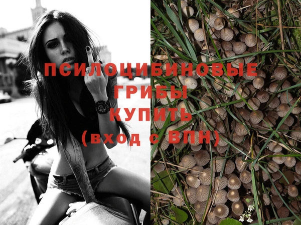 молекула духа Балабаново