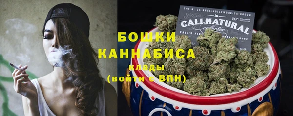 гидра Аркадак