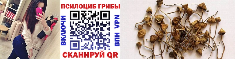 мега вход  Чегем  Галлюциногенные грибы прущие грибы 